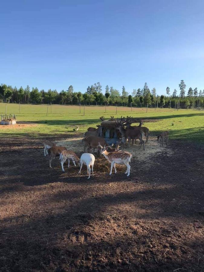 Sjoetorps Saeteris Bed & Breakfast Flygeln Larv Екстер'єр фото